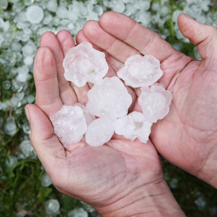 5 Tips on How to Prevent Hail Damage