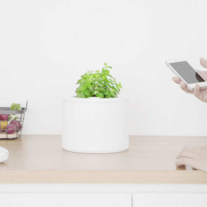 How to Use Technology to Grow Healthy Indoor Plants