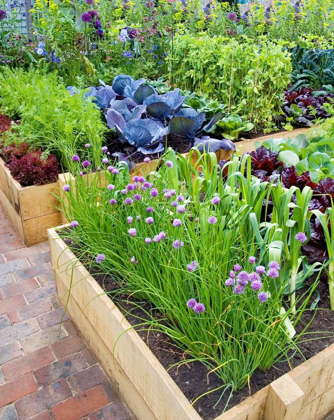 Preparing Your Garden with US Planting Zones & Schedules