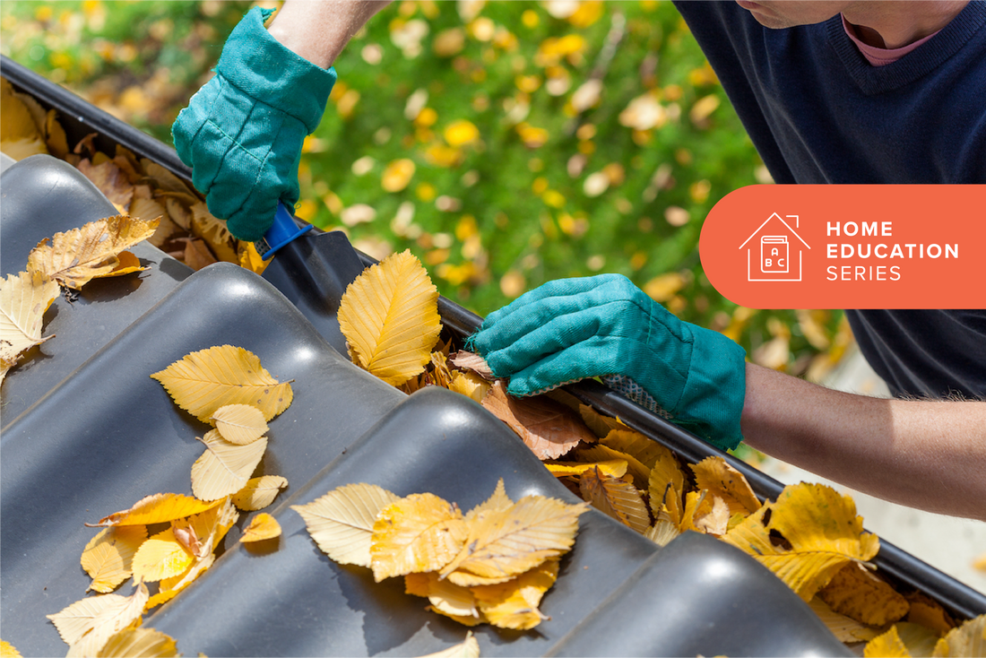 How To Clean Gutters and Prevent Damage to Your Home