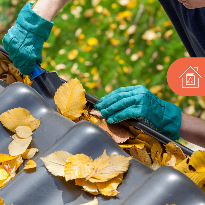 How To Clean Gutters and Prevent Damage to Your Home